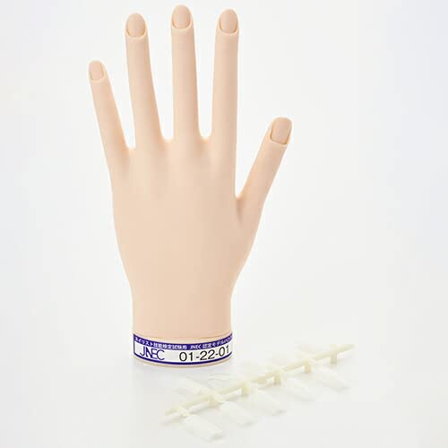 Amazon.co.jp: STモデルハンド 左手(JNEC 第1期認定モデルハンド